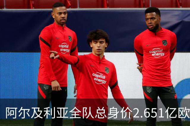 阿尔及利亚全队总身价2.651亿欧，26名球员中马扎的4500万欧最高
